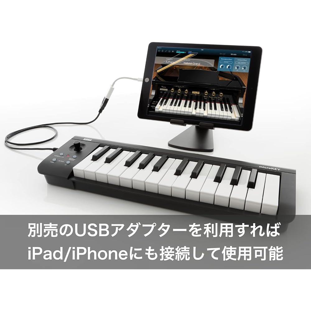 KORG (KORG) MIDI keyboard microKey2 micro key DTM/49 keyboard/controller/USB/pass power/plug-in i...