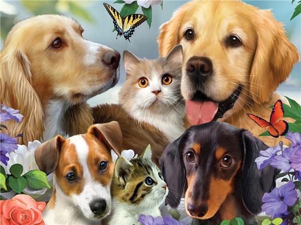 5D Diamantová Maľba Nový Pes Plný Štvorec/kolo Výšivka Mozaika Zviera Domov Dekorácia Krištáľové Hobby