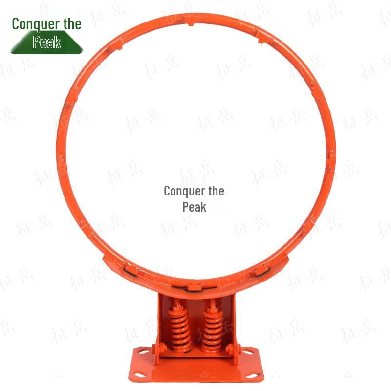 Zhengyue Adult Wall-Mounted Basketball Hoop