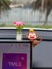Adorable Mini Monkey Car Ornament - TPU, Fits Rearview Mirror & Dashboard Decor