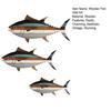 3 Pcs Wooden Fish Wall Art Nautical Coastal Theme Wall Decor Vintage Beach Wall Sculpture Lake House Hanging Ocean Ornament for Bathroom Bedroom