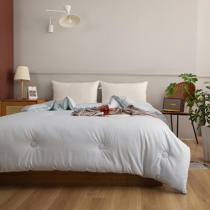 MUJI Cationic Heat-Retaining Winter Comforter