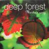 12inch Record DEEP FOREST - Marta's Song 4677901 550 Music, Epic 1995 US Dance & Electronica Used