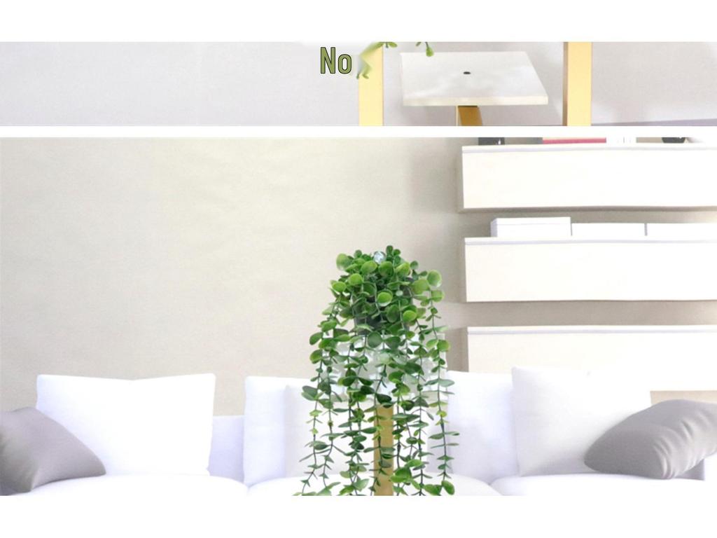 Artificial String of Pearls Vine: Cross-Border Hanging Green Plant for Home and Living Room Décor