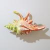 1Pcs Hair Claw Elegant Shark Clip Creative Conch Hairpin Colorful Gift For Summer Beach Headwear Hair Accessories