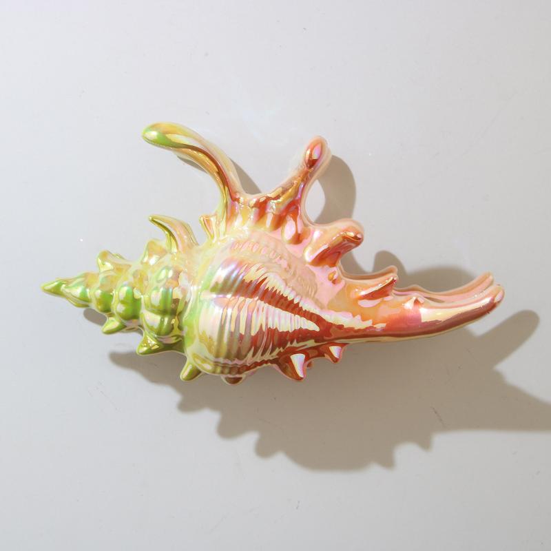 1Pcs Hair Claw Elegant Shark Clip Creative Conch Hairpin Colorful Gift For Summer Beach Headwear Hair Accessories