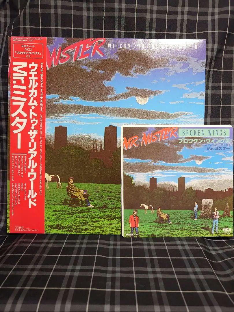 

[USED] Translucent LP EPMr. Mr. Welcome to the Real World