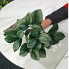 Acorn Peperomia Artificial Plants Green 30cm Green Plants High Quality Eucalyptus Leaves Artificial Shrubs Plants Outdoor