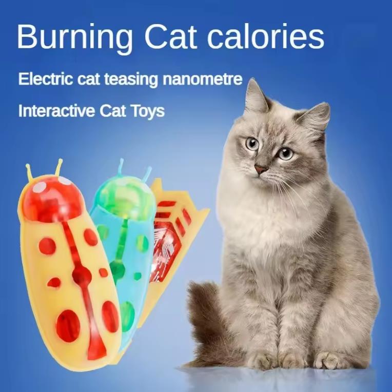 Jouet interactif pour chat et chaton, mini insecte électrique, jouet à bascule automatique, alimenté par batterie, vibration, fournitures pour coléoptères