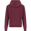 Polo Ralph Lauren Hooded Letter Print Pullover Long Sleeve Sweatshirt Men Sweatshirt Red 710952040-004