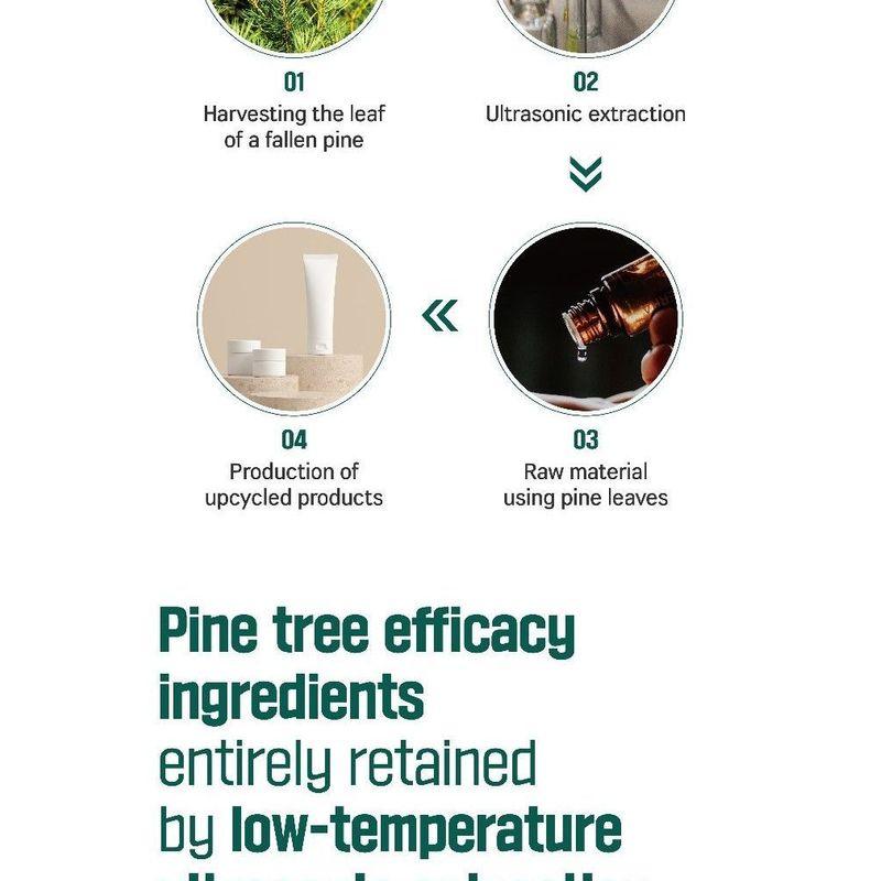 ROUND LAB Pine Calming Cica Ampoule