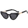 Luxury Trend Leopard Cat Eye Women Sunglasses Uv400 New Men Sunglasses Brand Designer Unisex  Vintage Retro Gradient Sun Glasses