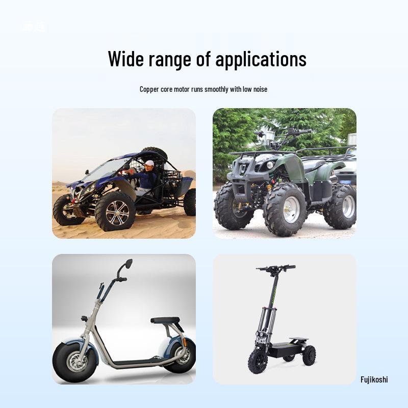 20-Inch Brushless Geared Electric Bicycle Hub Motor with Disc Brake, Compatible with 24V/36V/48V