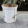 Samozavlažovací květináč Prodyšný průhledný plastový květináč pro Phalaenopsis Ovládání Automatický zásobník vody Květináč pro domácí kancelář