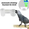 Plastic Pet Bird Drinker Feeder Water Bottle Cup Cat Chicken Pigeon Parrot Hamster Double Nozzle Guide for Family Garden.