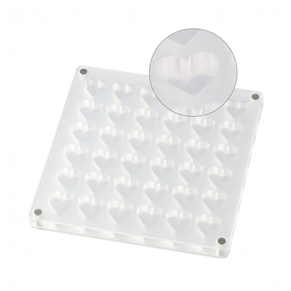 Sleek Acrylic Magnetic Seashell Display Box A Must Have for Shell Collectors
