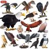 Children's Animal Simulation Toy Set: Eagle, Falcon, Secretary Bird, Owl Figurines
