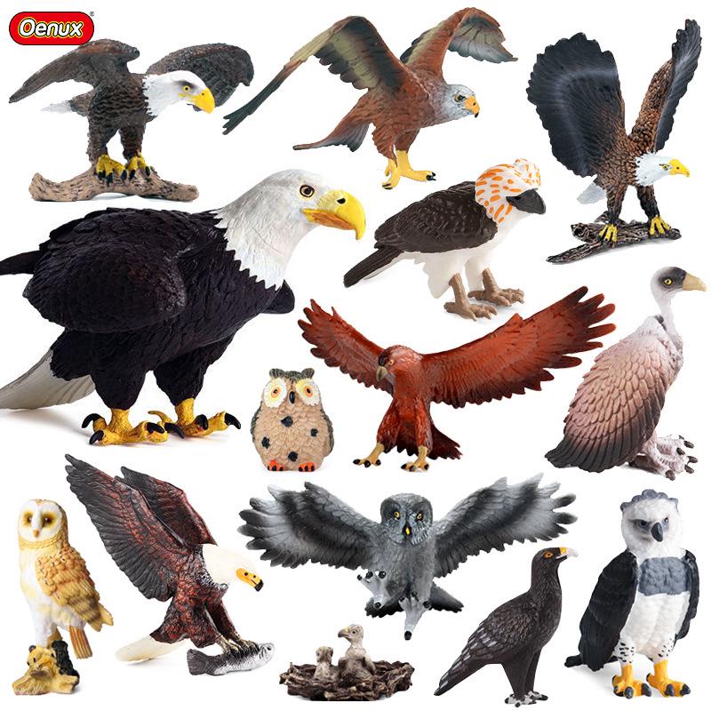 Children's Animal Simulation Toy Set: Eagle, Falcon, Secretary Bird, Owl Figurines