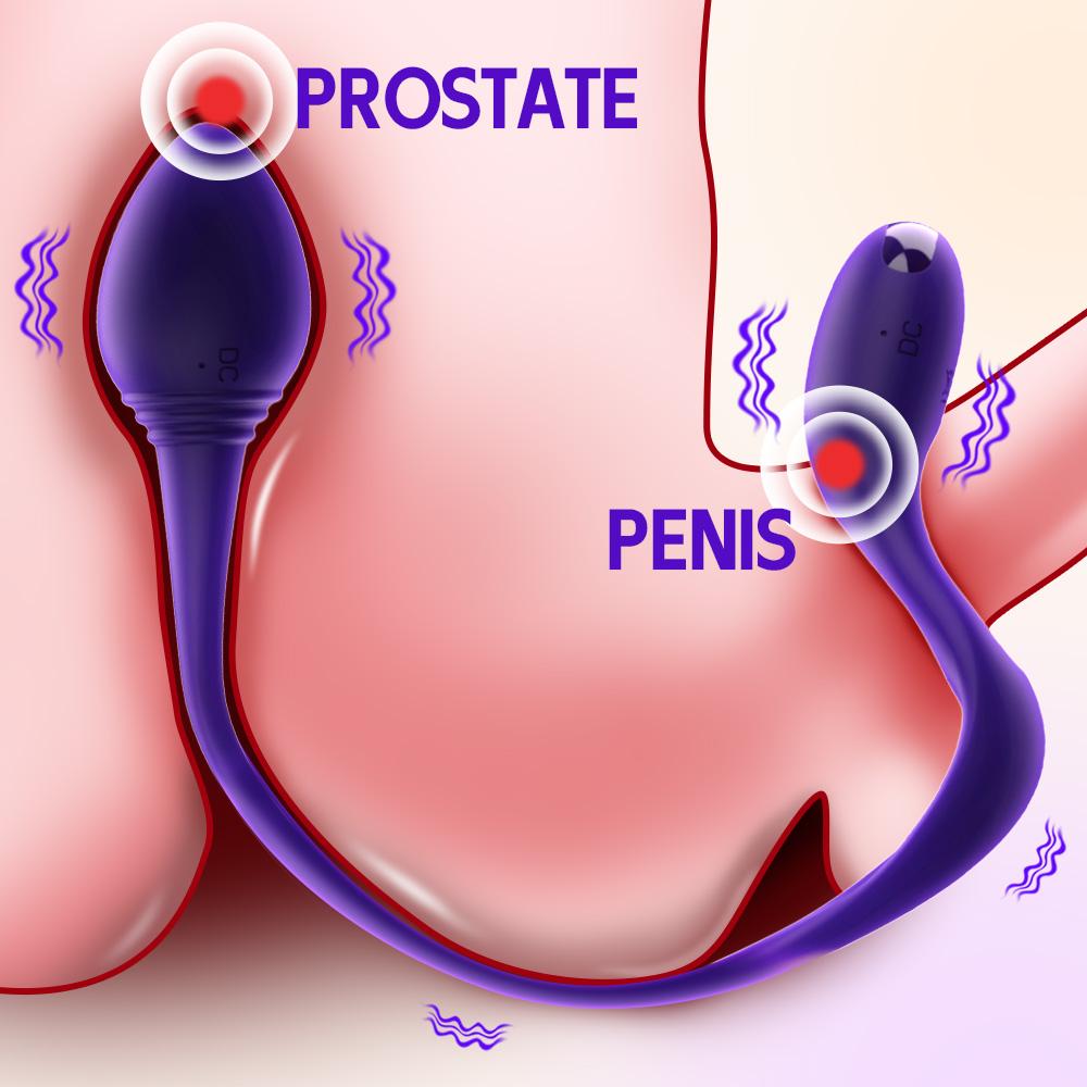 Vibrating Cock Penis Ring with Prostate Anal Butt Plug Vibrator Testicle Perineum Scrotum Massager Stimulator Sex Toys for Men