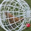 3 Pezzi Gabbie per Polli da Esterno Mobili Gabbia per Polli Habitat per Pollame Forniture per Protezione Orto Abitazioni Pascolo