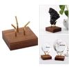 Espositore in Legno per Campioni Minerali Elegante Supporto per Fossili e Pietre Preziose Scaffale Espositore Decorativo per Rocce e Geodi