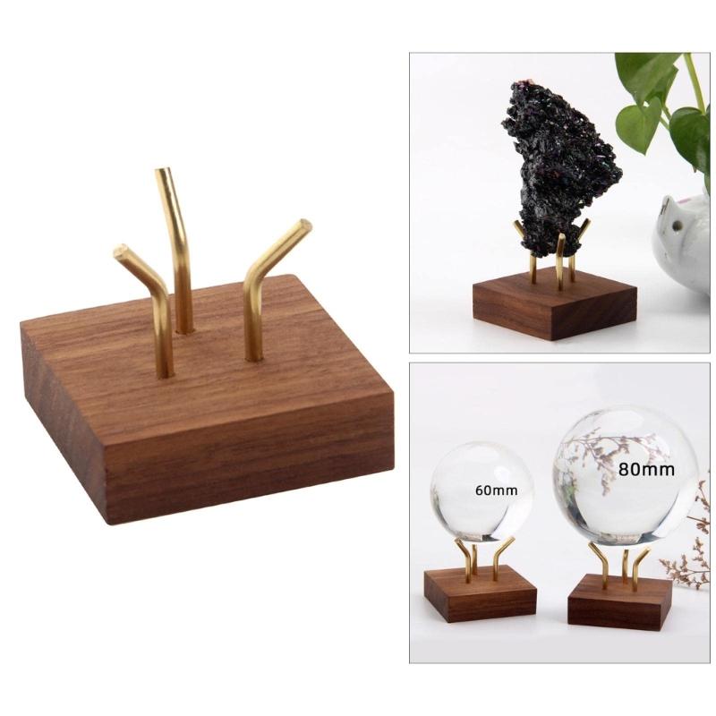 Espositore in Legno per Campioni Minerali Elegante Supporto per Fossili e Pietre Preziose Scaffale Espositore Decorativo per Rocce e Geodi