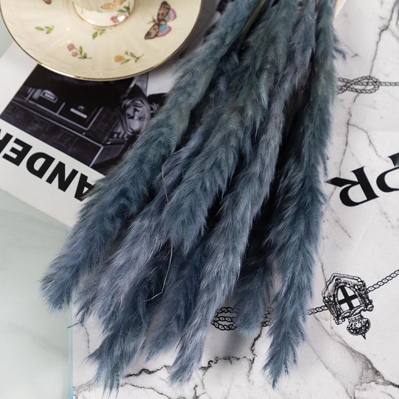 Small Reed Pampas Grass Dried Flower Special Offer Small Reed Dried Flower Bouquet Decoration Wedding Arrangement