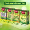 Celest Tulsi Green Tea 100 Bags | Natural Tulsi Green Tea Bags for Wellness and Detox