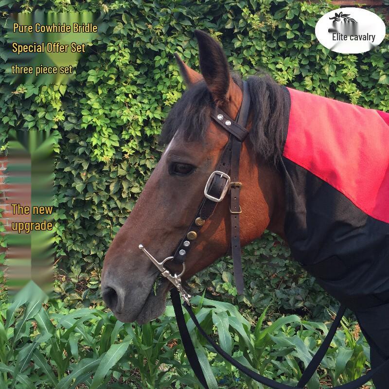 

Ma Shui Le Cowhide Horse Halter Bridle with Snaffle Bit and Reins - Equestrian Riding Saddle Tack, Free Shipping Other