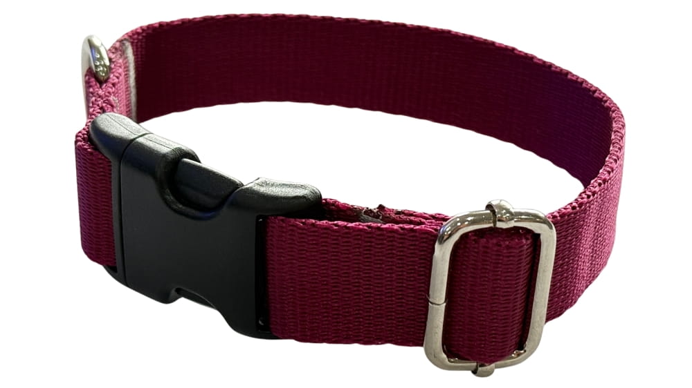 Dog Collar 2.5 cm with buckle Adjustable Burgundy Fasten Dog Collar 2.5 cm with buckle Adjustable Burgundy Fasten M: 30-45cm
