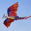 140cm x 120cm Celsius 55 x 47 Inch Dragon Kite Single Line Flying Kite with Tail 100m Flying Line for Kids Adults
