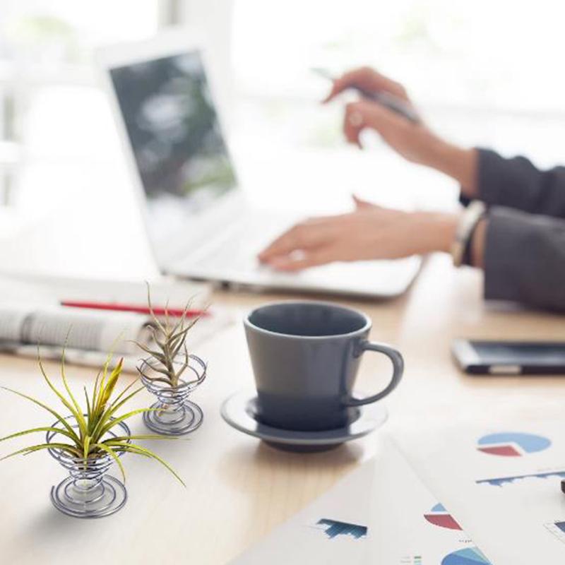 6 Pcs Blume Topf Edelstahl Air Plant Stand Container Tillandsia Halter