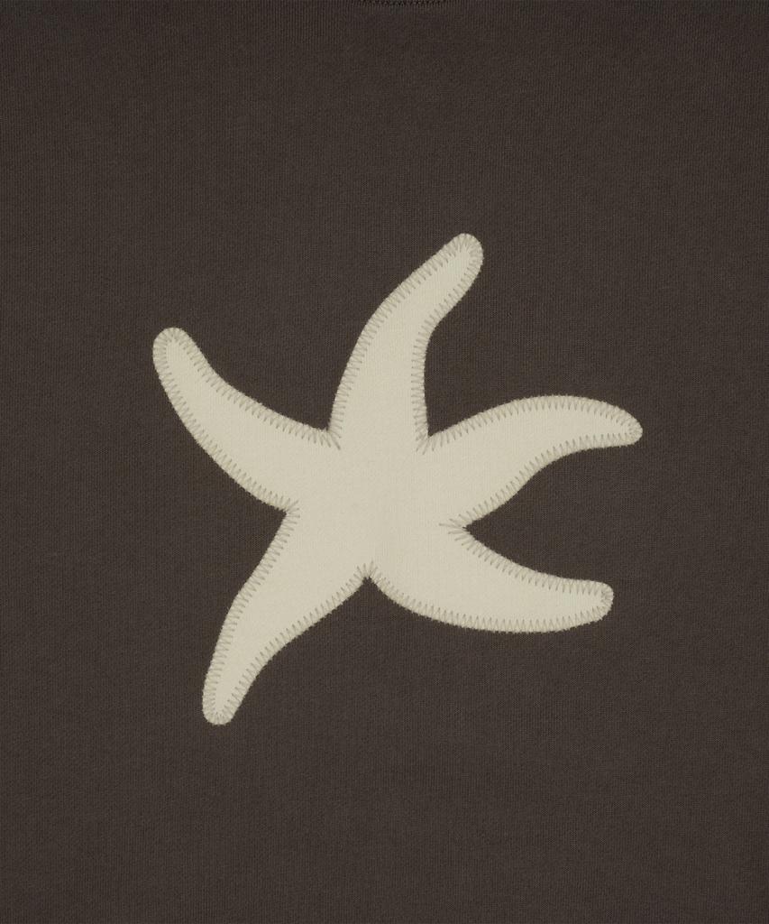 THE COLDEST MOMENT Tcm Starfish Mtm (Brown)