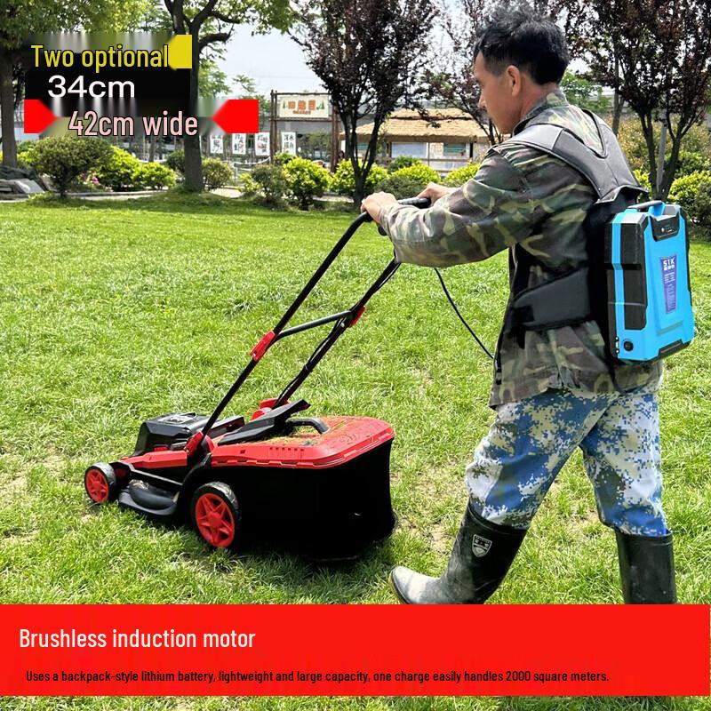 Streck Cordless Electric Garden Tools CN plug (adapter included)