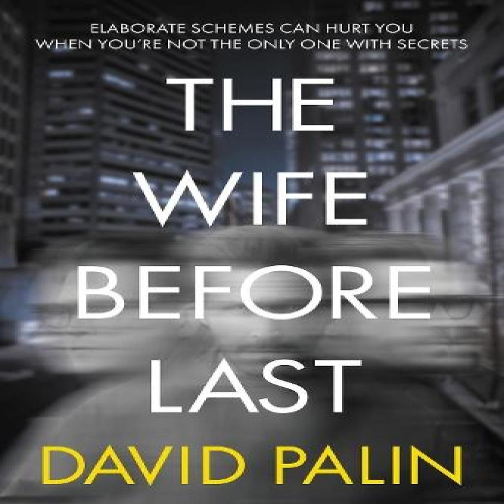 The Wife Before Last by David Palin Paperback Book 9781837916252