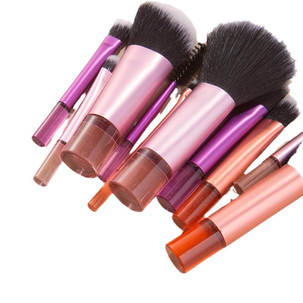 Cangzhou 10-teiliges Reise-Make-up-Pinselset: Tragbare Pinsel für losen Puder, Rouge, Nasenschatten und Lidschatten