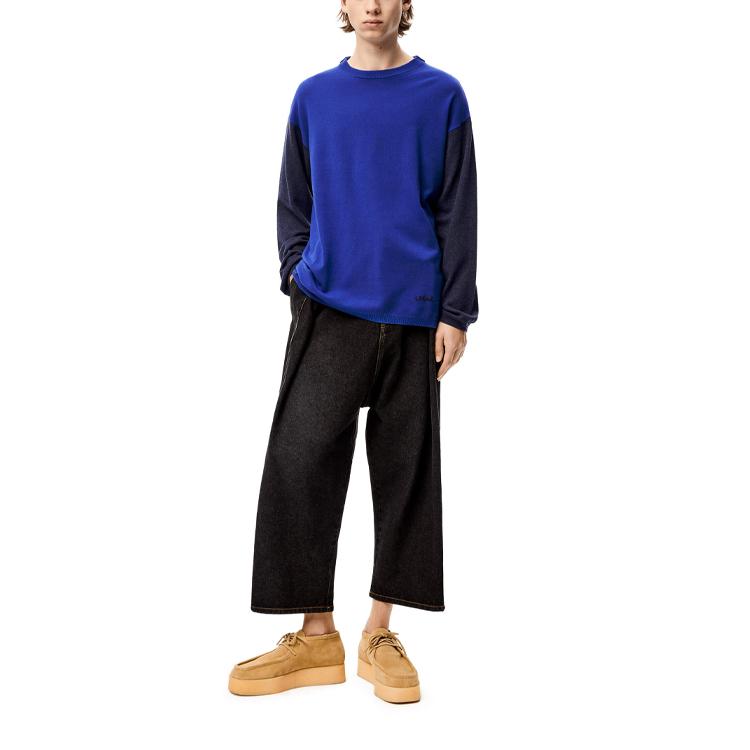 Loewe Sweaters Men's Blue Crew Neck Moderate Other H526Y14K68-5893