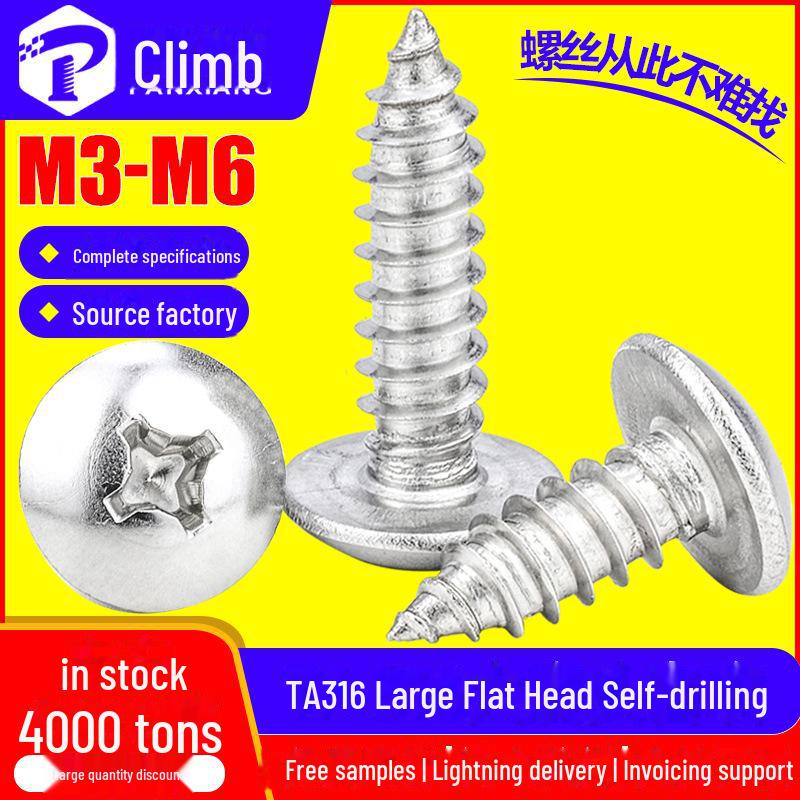 

316 Stainless Steel Large Flat/Mushroom Head Self-Tapping Screws M3/M4/M5 M3*6