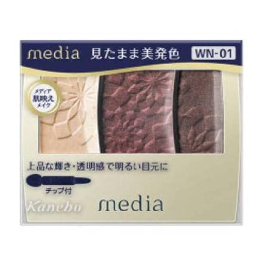 

Kanebo Media Gradient Color Eyeshadow WN-01