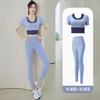 Womens Seamless Sports Set With Built-in Bra Padding Slim Fit Running Yoga Top Leggings Gym Fitness