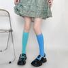 Women Knee High Socks Tube Socks Cute Colorful Knee High Stockings Tube Socks