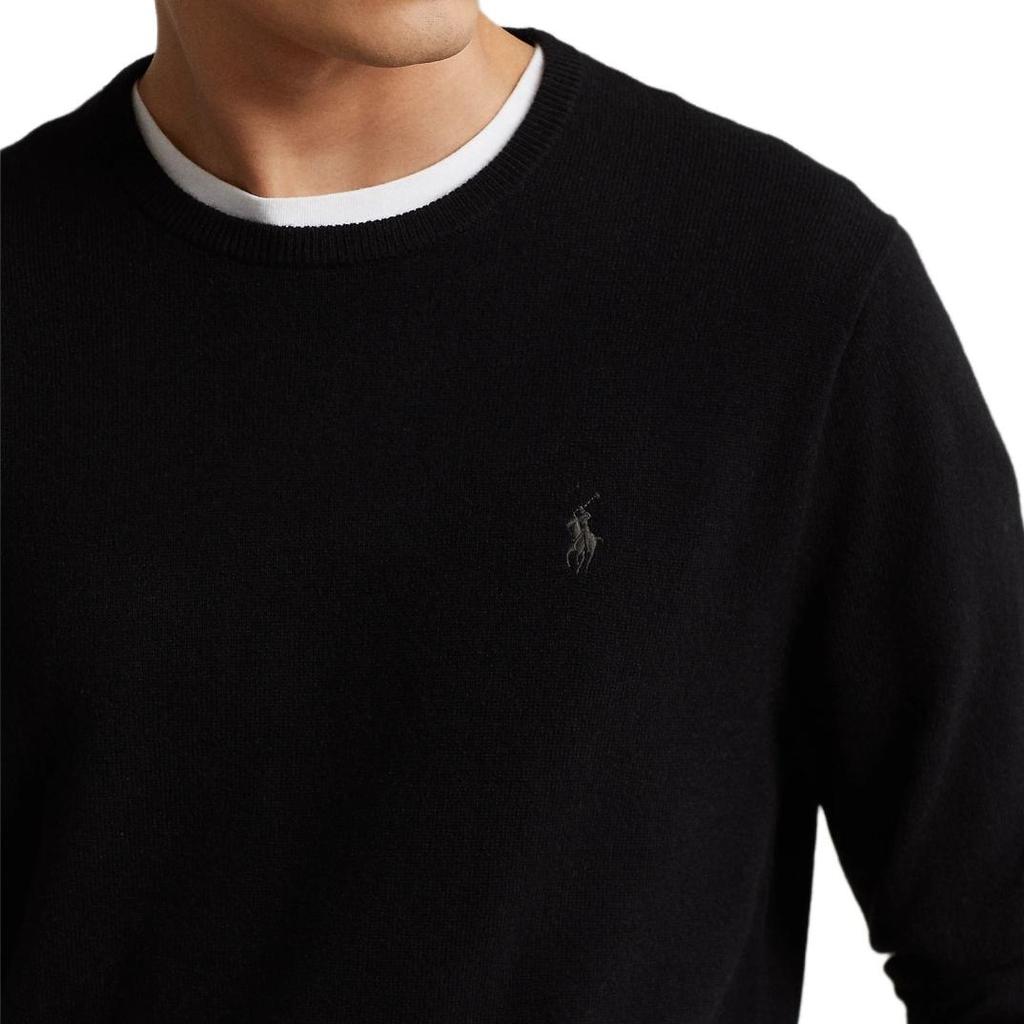 Polo Ralph Lauren FW22 Sweater Standard Men's Black 710876714-003