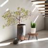 Wooden Plant Stool for Both Indoor,Outdoor Use,Featuring a Mid Century Design Suitable for Modern Plants.This Low,Short Planter Stand Combines Boho