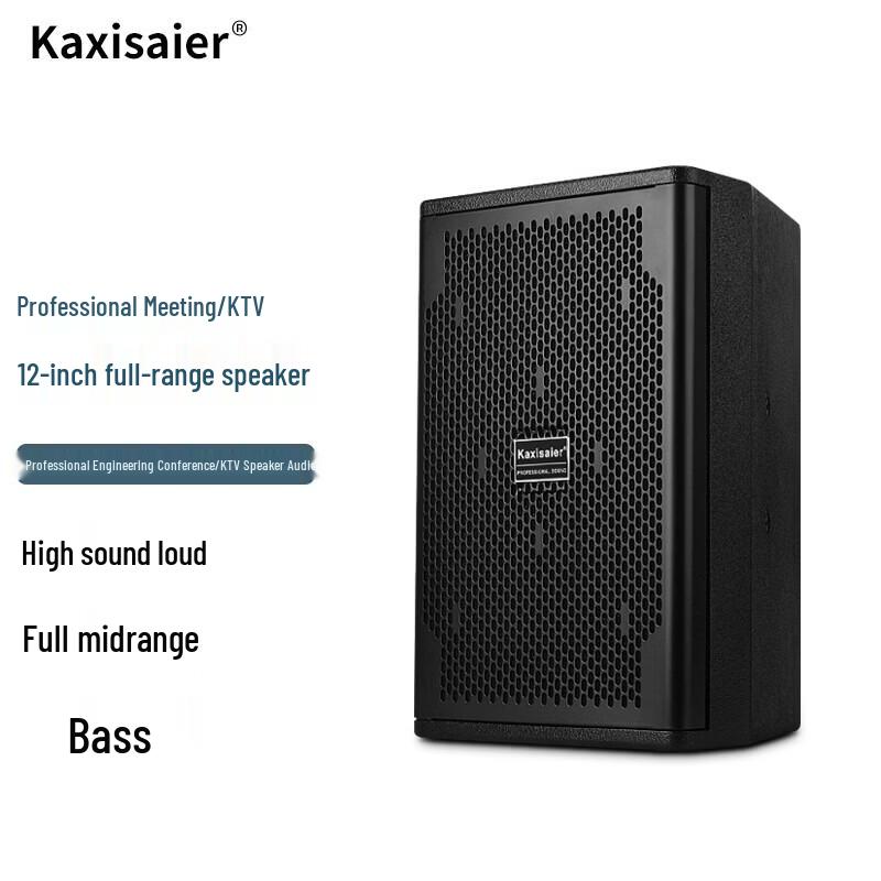 KAXISAIER Professional Full-Range Passive Speaker CN Plug (adapter Included)