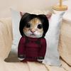 Cute Cat Funny Cushion Cover Silky Short Plush Invisible Zipper Dustproof Sofa Pillow Case For Home Decor