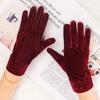 Driving Gloves Autumn Winter Velvet Women Gloves Thick Plush Full Finger Mittens Furry Warm Mitts