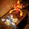 3D Lobster DIY Hand-held Lantern Handcrafted Chinese Traditional Paper Lantern for Mid-Autumn Festival Chinese New Year Decoration