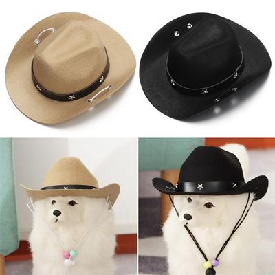 Abbigliamento e scarpe – Cappelli per cani