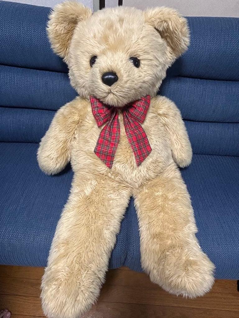 [USED] Large teddy bear plush toy