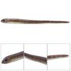 10 pcs 1.7g 9cm Silicone Artificial Worm Earthworm Soft Fishing Lures Bait Fish Tackle Accessories Kit